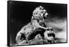 Statue of a Lion, City Gates, Arles, Provence, France-Simon Marsden-Framed Stretched Canvas