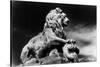 Statue of a Lion, City Gates, Arles, Provence, France-Simon Marsden-Stretched Canvas