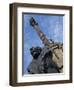 Statue of a Lion on the Columbus Monument in Barcelona, Catalunya, Spain-Teegan Tom-Framed Photographic Print