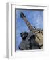 Statue of a Lion on the Columbus Monument in Barcelona, Catalunya, Spain-Teegan Tom-Framed Photographic Print