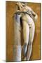 Statue of a Resting Satyr-Praxiteles Praxiteles-Mounted Photographic Print