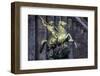 Statue of a Rider on a Horse in Front of the Altes Museum, Berlin, Germany, Europe-Miles Ertman-Framed Photographic Print