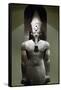 Statue of Amenhotep III-null-Framed Stretched Canvas