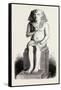 Statue of Amenophis IV, Ehuenaten, Egypt, 1879-null-Framed Stretched Canvas