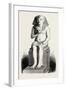 Statue of Amenophis IV, Ehuenaten, Egypt, 1879-null-Framed Giclee Print