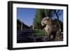 Statue of Animals Along Sacred Way or Spirit Way Leading to Tombs of Ming Emperors, Beijing, China-null-Framed Giclee Print