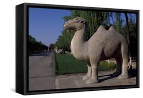 Statue of Animals Along Sacred Way or Spirit Way Leading to Tombs of Ming Emperors-null-Framed Stretched Canvas