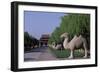 Statue of Animals Along Sacred Way or Spirit Way Leading to Tombs of Ming Emperors-null-Framed Giclee Print