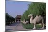 Statue of Animals Along Sacred Way or Spirit Way Leading to Tombs of Ming Emperors-null-Mounted Giclee Print