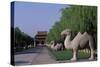 Statue of Animals Along Sacred Way or Spirit Way Leading to Tombs of Ming Emperors-null-Stretched Canvas