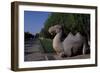 Statue of Animals Along Sacred Way or Spirit Way Leading to Tombs of Ming Emperors-null-Framed Giclee Print