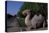 Statue of Animals Along Sacred Way or Spirit Way Leading to Tombs of Ming Emperors-null-Stretched Canvas