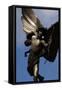Statue of Anteros, or the Angel of Christian Charity, Shaftesbury Memorial Fountain, Piccadilly…-Alfred Gilbert-Framed Stretched Canvas