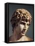 Statue of Antinous-null-Framed Stretched Canvas