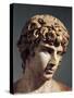 Statue of Antinous-null-Stretched Canvas