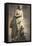 Statue of Aphrodite, Goddess of Beauty and Love-null-Framed Stretched Canvas