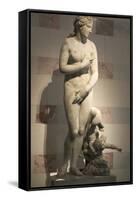 Statue of Aphrodite, Goddess of Beauty and Love-null-Framed Stretched Canvas