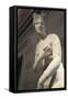 Statue of Aphrodite, Goddess of Beauty and Love-null-Framed Stretched Canvas