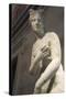 Statue of Aphrodite, Goddess of Beauty and Love-null-Stretched Canvas