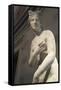 Statue of Aphrodite, Goddess of Beauty and Love-null-Framed Stretched Canvas