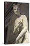 Statue of Aphrodite, Goddess of Beauty and Love-null-Stretched Canvas