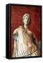 Statue of Aphrodite, Goddess of Beauty and Love-null-Framed Stretched Canvas