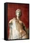 Statue of Aphrodite, Goddess of Beauty and Love-null-Framed Stretched Canvas