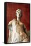 Statue of Aphrodite, Goddess of Beauty and Love-null-Framed Stretched Canvas