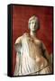 Statue of Aphrodite, Goddess of Beauty and Love-null-Framed Stretched Canvas