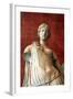 Statue of Aphrodite, Goddess of Beauty and Love-null-Framed Photographic Print