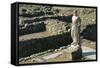 Statue of Asclepius, Ampurias, Greek City Founded in the 6th Century BC, Catalonia, Spain-null-Framed Stretched Canvas