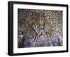 Statue of Avalokitesvara with One Thousand Arms, Dazu Buddhist Rock Sculptures, China-Kober Christian-Framed Photographic Print