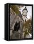 Statue of Bach, Thomaskirche, Leipzig, Saxony, Germany, Europe-Michael Snell-Framed Stretched Canvas