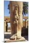 Statue of Bant Anta and Ramses Ii, Temple of Karnak, Luxor, Egypt-Ken Gillham-Mounted Photographic Print