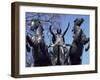 Statue of Boadicea, Westminster, London, England, United Kingdom-Walter Rawlings-Framed Photographic Print