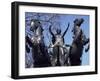 Statue of Boadicea, Westminster, London, England, United Kingdom-Walter Rawlings-Framed Photographic Print