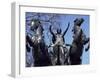 Statue of Boadicea, Westminster, London, England, United Kingdom-Walter Rawlings-Framed Photographic Print