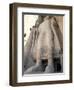 Statue of Buddha, Since Destroyed by the Taliban, Bamiyan-Ian Griffiths-Framed Photographic Print