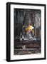 Statue of Buddha, Wat Mahathat, Ayutthaya (Unesco World Heritage List, 1991), Bangkok, Thailand-null-Framed Premium Giclee Print