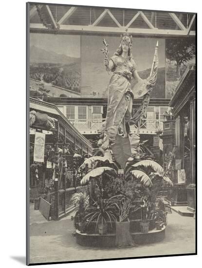 Photographic Print, , large