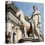 Statue of Castor at Piazza Del Campidoglio-null-Stretched Canvas