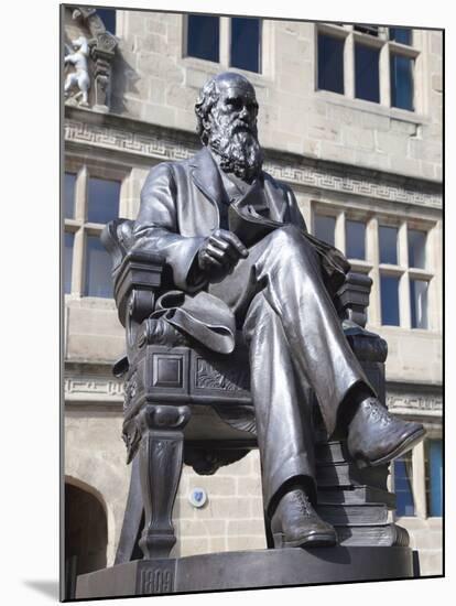 Statue of Charles Darwin Outside Public Library, Shrewsbury, Shropshire, England-null-Mounted Photographic Print