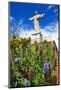 Statue of Christ at Ponta do Garajau near Canico, Madeira Island, Portugal-null-Mounted Art Print