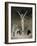 Statue of Christ at the Entrance to Sagrada Familia, the Gaudi Cathedral, Barcelona, Spain-Jeremy Bright-Framed Photographic Print