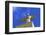 Statue of Christ, Cristo Rei, Lisbon, Portugal, South West Europe-Neil Farrin-Framed Photographic Print