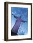 Statue of Christ the Redeemer, Corcovado, Rio De Janeiro, Brazil, South America-Angelo-Framed Photographic Print