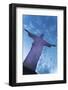 Statue of Christ the Redeemer, Corcovado, Rio De Janeiro, Brazil, South America-Angelo-Framed Photographic Print