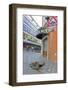 Statue of Cumil, the Man at Work in a Hole, Bratislava, Slovakia, Europe-Christian Kober-Framed Photographic Print