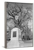 Statue of Daniel Webster-Philip Gendreau-Framed Photographic Print