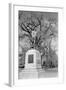 Statue of Daniel Webster-Philip Gendreau-Framed Photographic Print